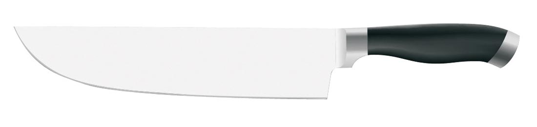 Fleischmesser "PROFESSIONAL"  Klinge  20cm