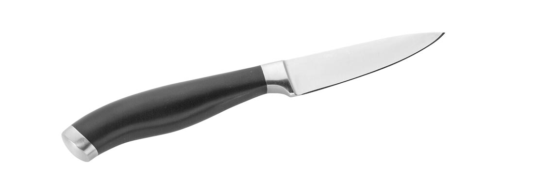 Spickmesser "PROFESSIONAL"  Klinge 9cm